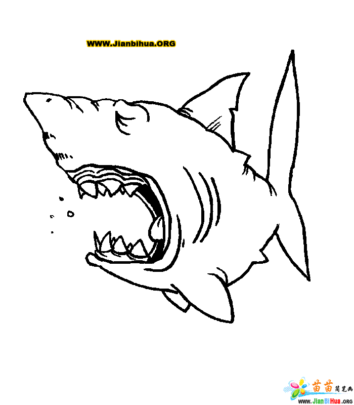 卡通鲨鱼图片简笔画 