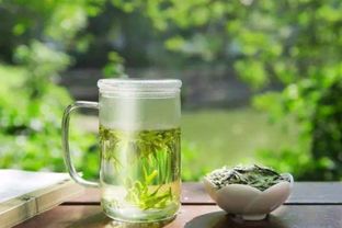 绿茶是寒性吗 