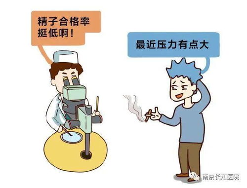 什么是精子DNA碎片率 精子DNA碎片率高对怀孕有什么影响