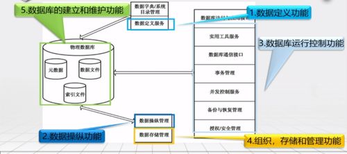 数据库原理 数据库管理系统的功能和特点 四
