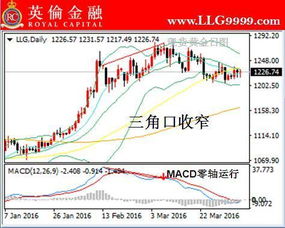 打算投资现货黄金，投入和收益比例是多少？