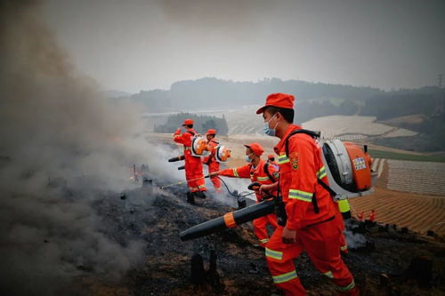 广等寨子后山着火了,原来是演练