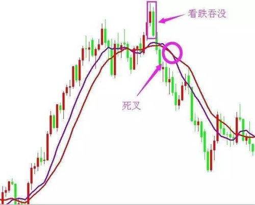 DTA币如何买入_DTA-USDT币什么价