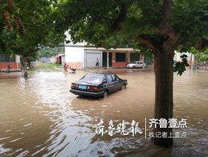 最大降水239.5毫米,摩羯过境,潍坊昌乐成中国 雨都