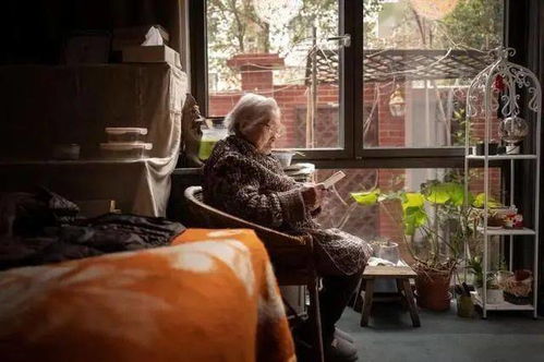 104岁的“炒股奶奶”成为上海最高龄股民，她与股票是如何结缘的？
