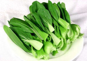 小白菜可以生吃吗,东北人喜欢生吃青菜，这样对身体有什么好处呢