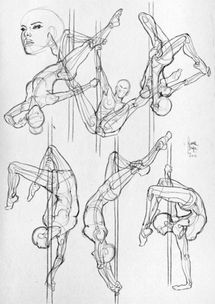 舞蹈 武术运动人体解剖速写