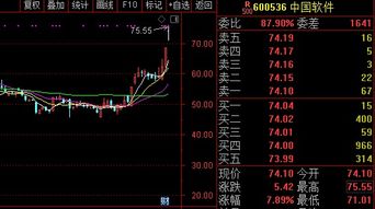 今年可不可以投中柔顺洁的股票