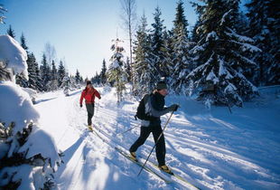 圆你一个 圣诞梦 芬兰跨年不可错过的体验