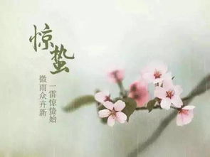 节气丨惊蛰 春雷响,万物长