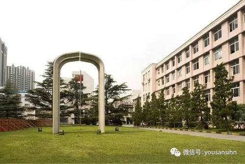 对外经济贸易大学教务处(上海对外经贸大学教务处登录入口)