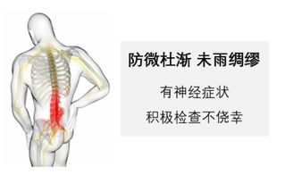 脊柱竟然是各种癌症的后宫,癌症可以在这死灰复燃