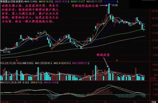 K线技术图中“攻击性阴线”的含义是？