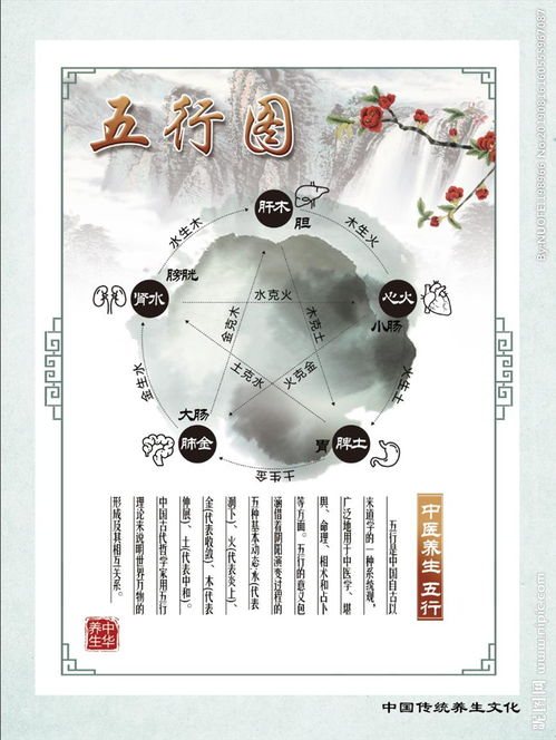 周易五行相生相克(水为财,木为官,火为印,土为)