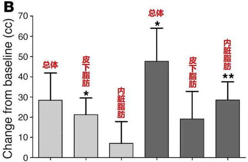 我国最大的果糖厂在哪里？