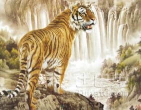 生肖属虎的年份有哪些 属虎的命运运势介绍