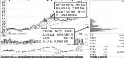 成交巨量股票价格上涨，此股票是否可以看多