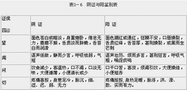 中医护理 八纲辨证之阴阳