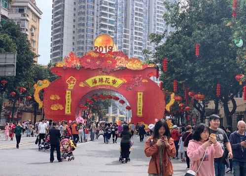 美爆 春节去哪儿旅游 来广州逛花市,感受不一样的年味