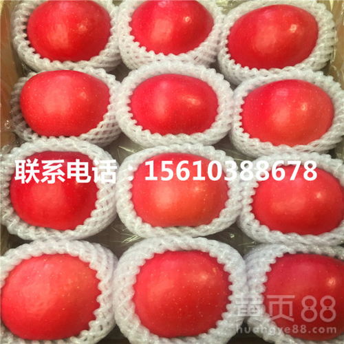 离我最近的香烟批发店_附近批发香烟在哪里 - 4 - 680860香烟网