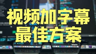 使用arctime为视频快速添加双语字幕 教程