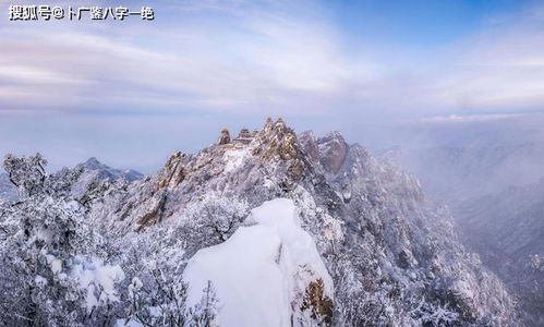 给无数人算过命的命理师的人生感悟 值得珍藏