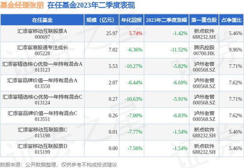 汇添富移动互联二季度重仓哪些股票