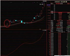 为什么中国的股市让投资者亏投机者赚