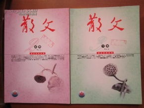 散文 文学小说 期刊 