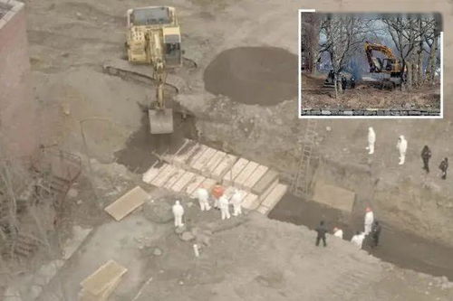 纽约到底死了多少人在荒岛上挖坑埋葬死者的视频被曝光(纽约每天死多少人)