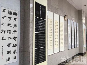 中南林科大3名大学生办书法展 