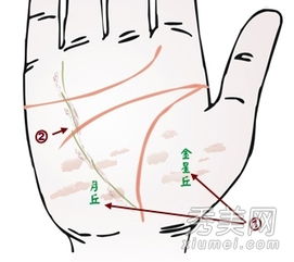 啥手相代表婚姻不利 断掌川字掌要注意