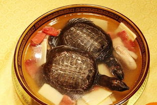 乌龟怎么吃 乌龟的家常吃法