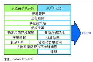 ERP实施