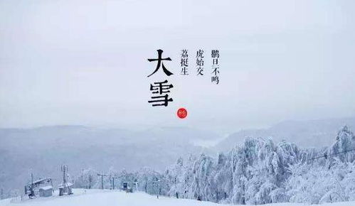 俗语 寒风迎大雪,三九天气暖 ,有道理吗 今年三九会冷吗