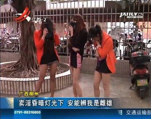 辣眼睛 广西一男子男扮女装卖淫被抓,嫖客险些作呕