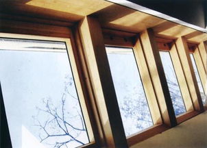 南京门窗 奔月门窗 斜面屋顶天窗