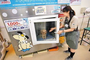 全自动洗狗机风靡日本 35分还你干净狗狗 