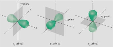 主量子数可以与角量子数相等吗?