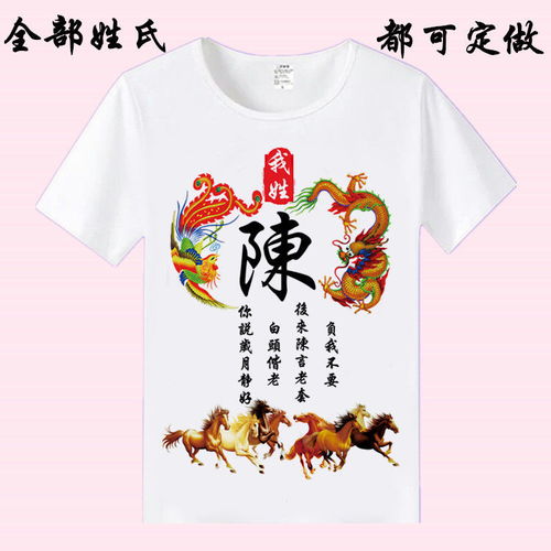创意中国风百家姓名字文字男女个性宽松短袖T恤定制姓氏衣服夏龙