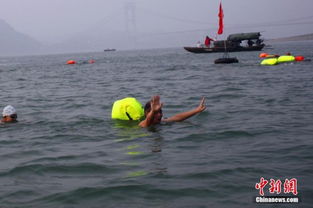 湖北宜昌500余名冬泳健儿横渡长江 