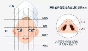上海艺星 一个好看的鼻子有多重要