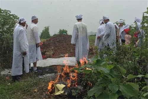 梦见祭拜祖坟