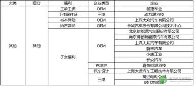 期权奖金是什么意思?