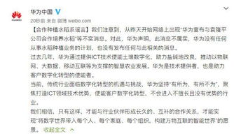 华为辟谣种植水稻 没有该计划 格力电器宣布加薪 董明珠名下财产未受到查封或冻结