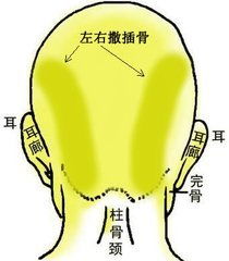 摸骨算命最准的三十四招 