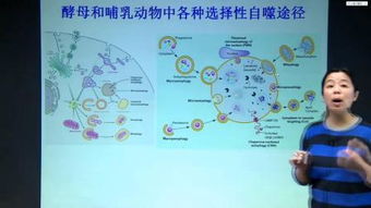 分子生物学视频 – 