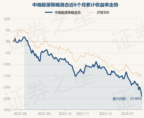 中海能源策略基金如何