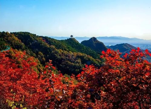 避开拥挤的人潮,7个值得去的北京赏红叶之地