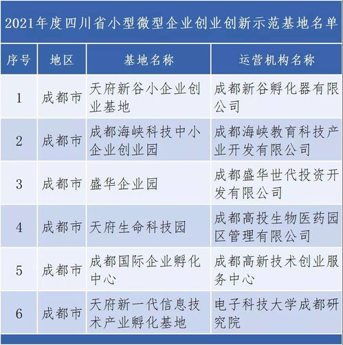 为四川小微企业创业创新作示范 成都6家基地入选年度名单